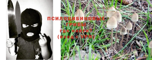меф Осинники