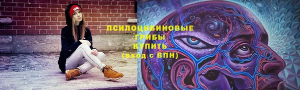 МДПВ Нязепетровск