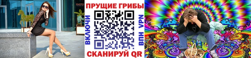 Псилоцибиновые грибы Psilocybe  продажа наркотиков  Ряжск 